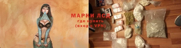 прущие грибы Абдулино