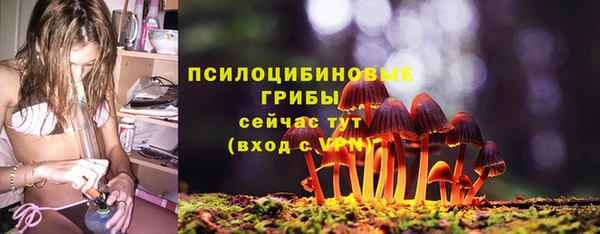 хмурый Алзамай