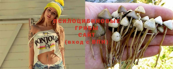 прущие грибы Абдулино