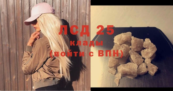 гидропоника Новозыбков