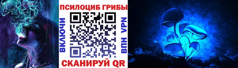 где купить наркоту  Чердынь  Псилоцибиновые грибы ЛСД 